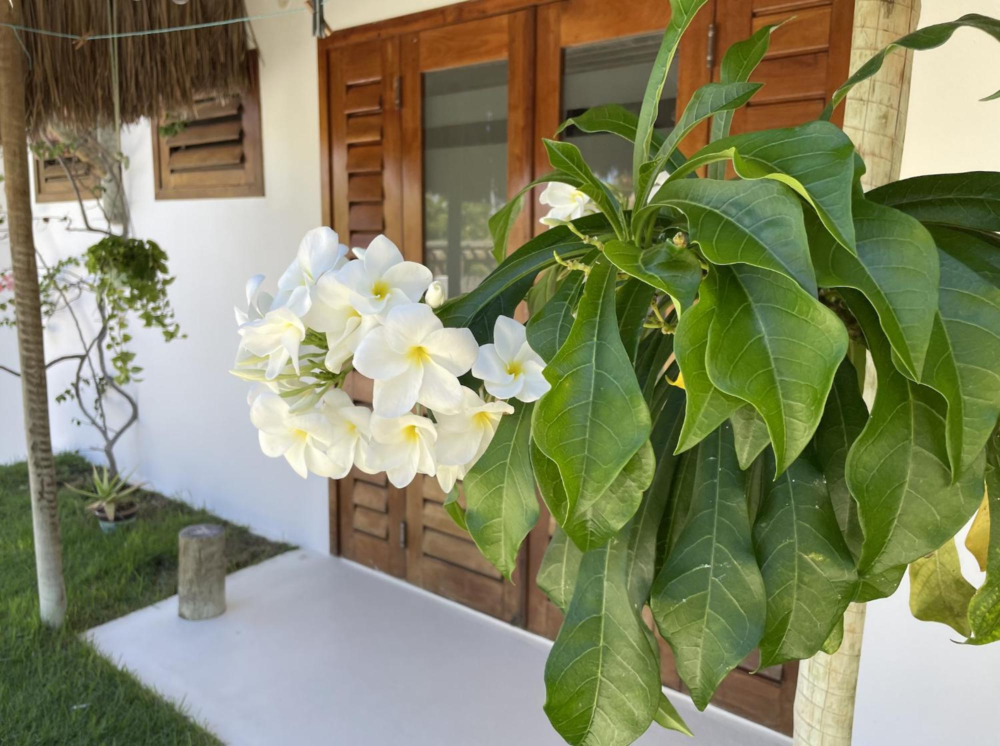 Villa Caribou อิกาไรย์ ภายนอก รูปภาพ